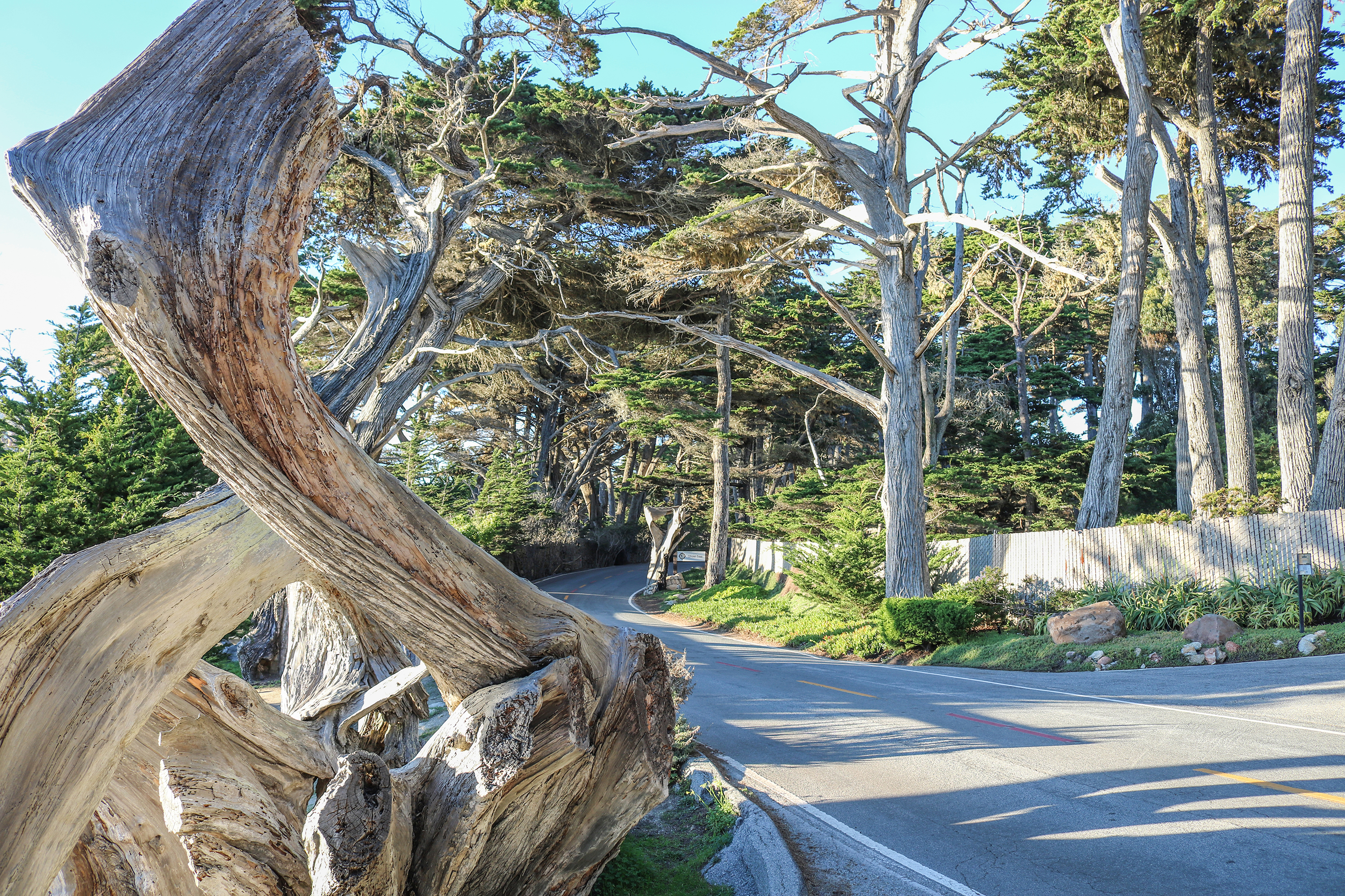The 17-Mile Drive coastline